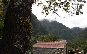 Nature Inn Madeira - Glamping
